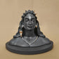 Adiyogi